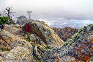 Point Lobos-0112-2.jpg